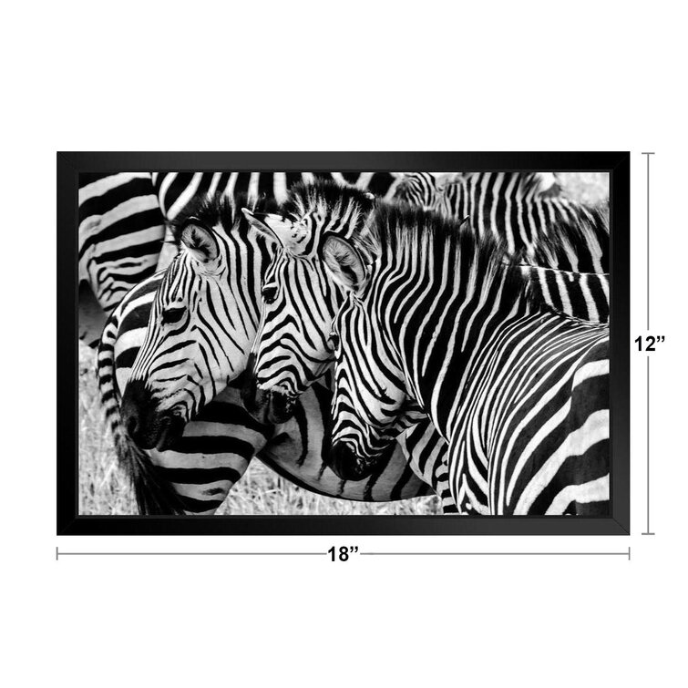 Three Zebras In The Wild Faces Aligned Zebra Pictures Wall Decor Zebra  Black And White Animal Print Living Room Decor Zebra Print Decor Animal